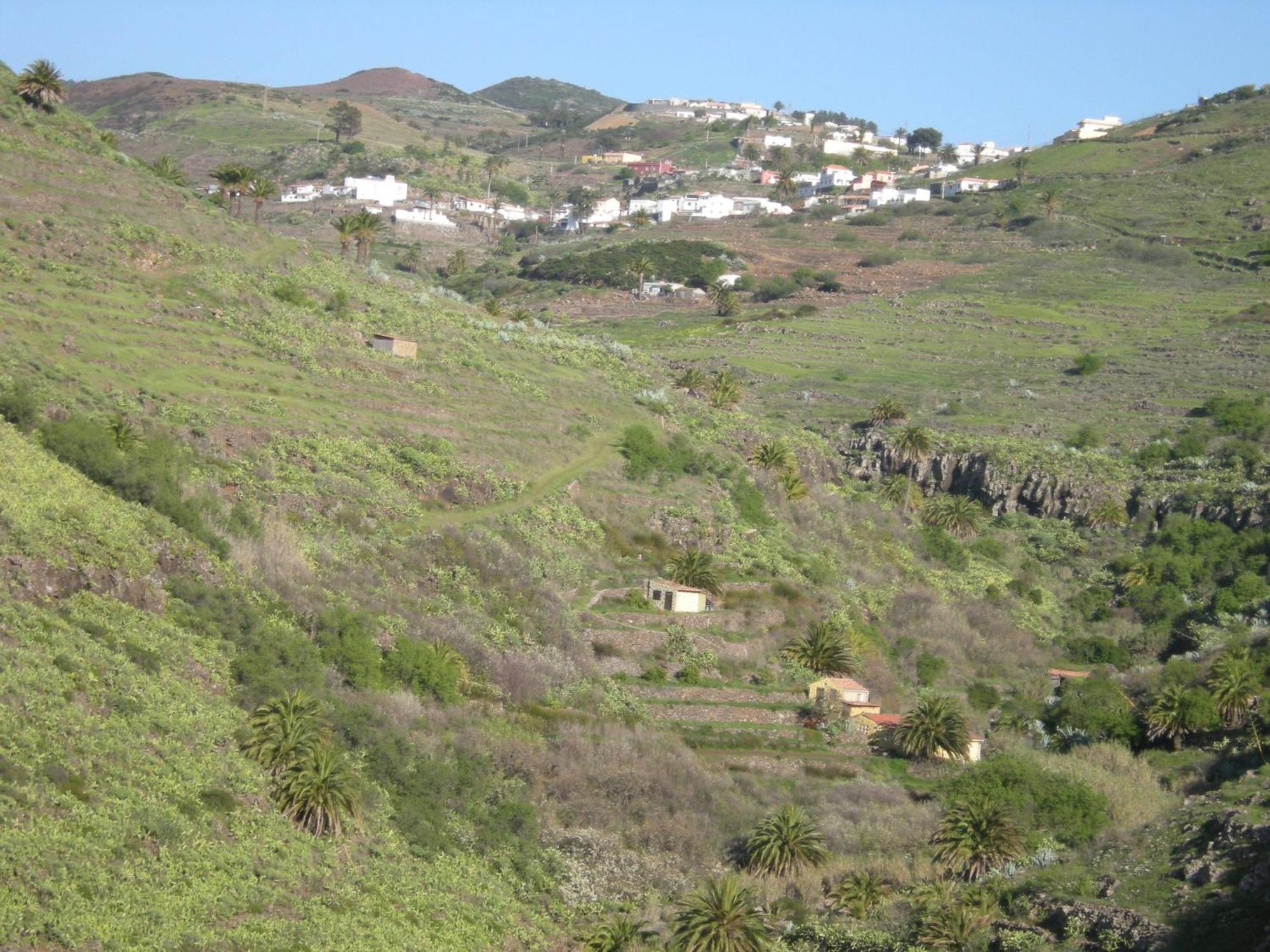 Appartement La Hoya Del Cura à Valle Gran Rey Extérieur photo